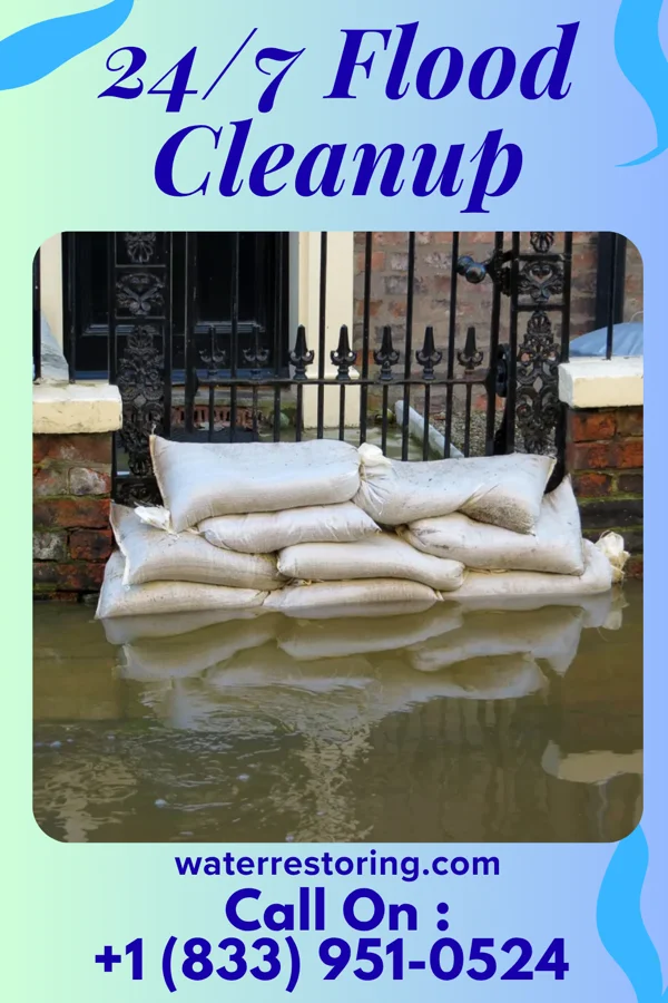 24/7 Flood Cleanup in De Graff, OH