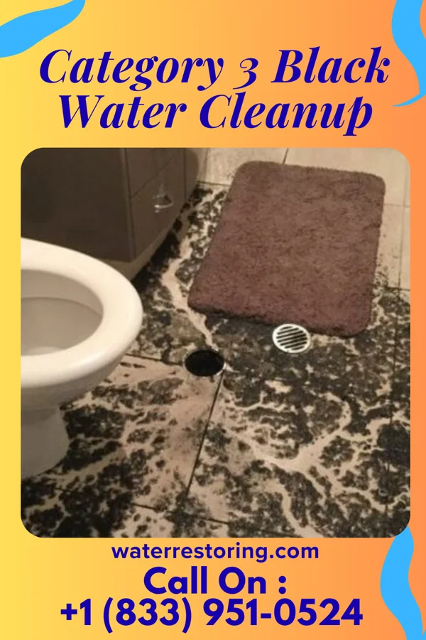 Category 3 Black Water Cleanup in De Graff, OH