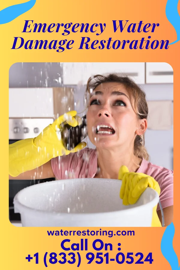 Emergency Water Damage Restoration in De Graff, OH
