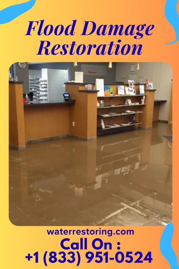 Flood Damage Restoration in De Graff, OH