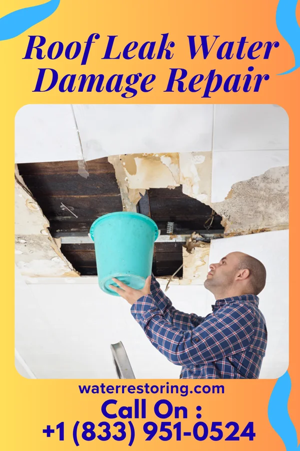 Roof Leak Water Damage Repair in De Graff, OH